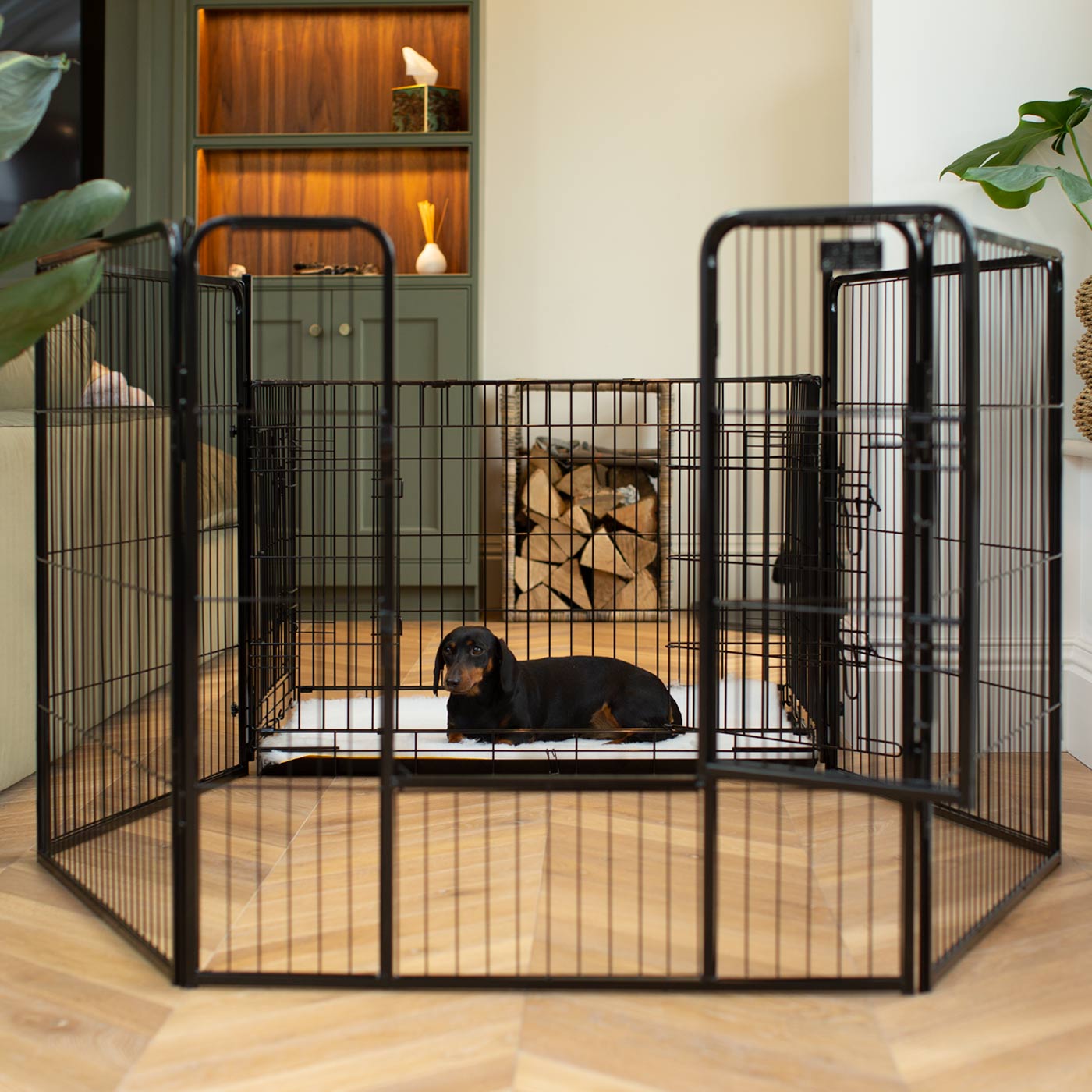 Puppy Playpen Set Up Puppy Pen Set Up Dog Crate Black 80cm High