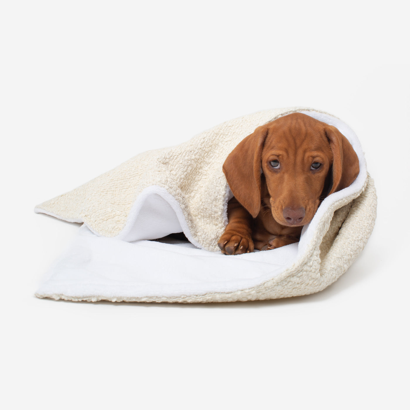 Discover Our Luxurious Dog Blanket In Luxury Ivory Bouclé Super Soft Sherpa & Teddy Fleece Lining, The Perfect Blanket For Puppies, Available To Personalise And In 2 Sizes Here at Lords & Labradors