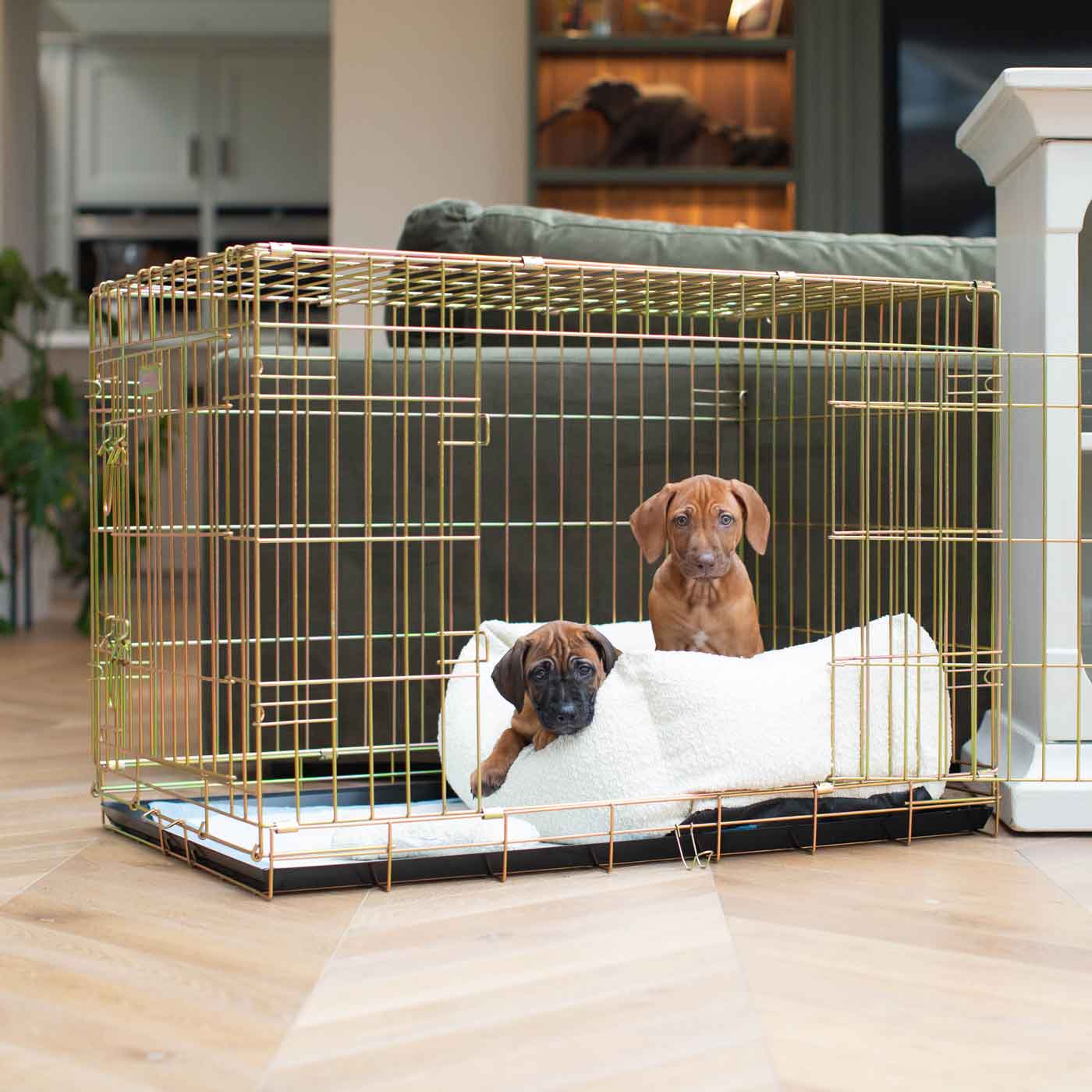 Discover Our Heavy-Duty Dog Crate With Ivory Bouclé Cosy & Calming Puppy Crate Bed Set! The Perfect Crate Bed For Pet Burrow. Available To Personalise Here at Lords & Labradors 