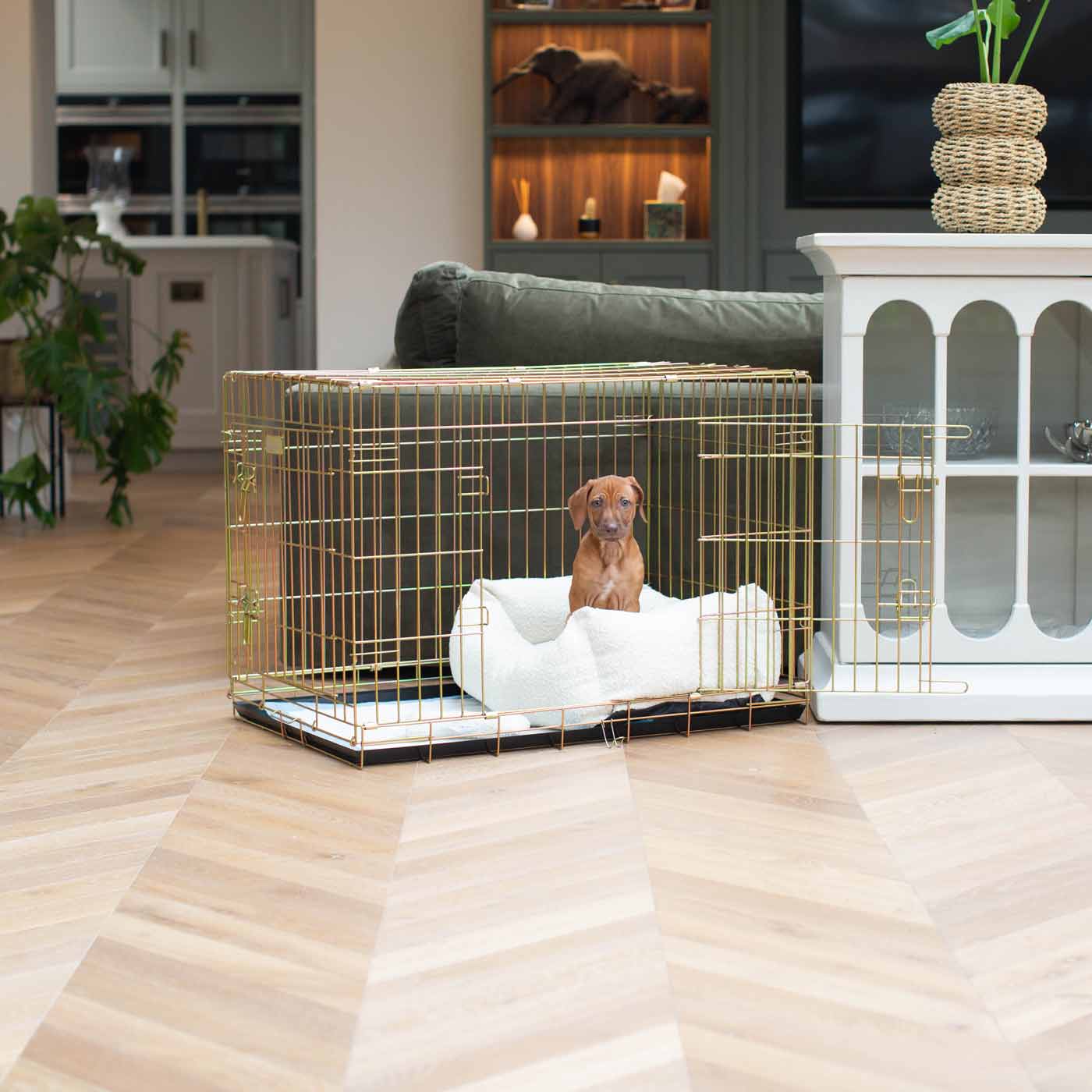 Gold Dog Crate and Bouclé Cosy & Calming Puppy Bed Set Lords & Labradors