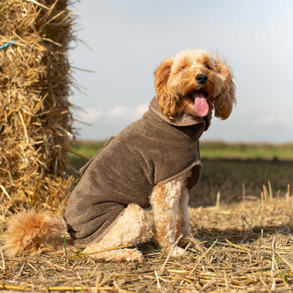 Discover the perfect dog drying with our bamboo dog drying coat in Mole (Brown) The ideal choice for pet drying after walking and bath-time. Made using luxurious bamboo to aid sensitive skin! Available to personalise now at Lords & Labradors in 5 sizes and 4 beautiful colours!        
