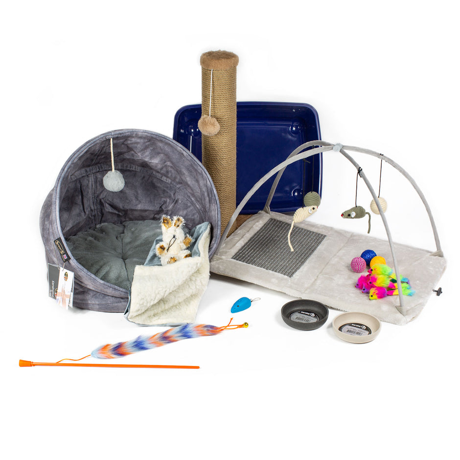 Different Growth Stages of Cats L&L Info Hub Lords & Labradors