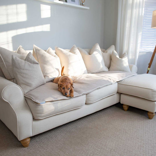 [colour:savanna oatmeal] Discover Our Luxury Savanna Sofa Topper, The Perfect Pet sofa Accessory In Stunning Savanna Oatmeal! Available Now at Lords & Labradors