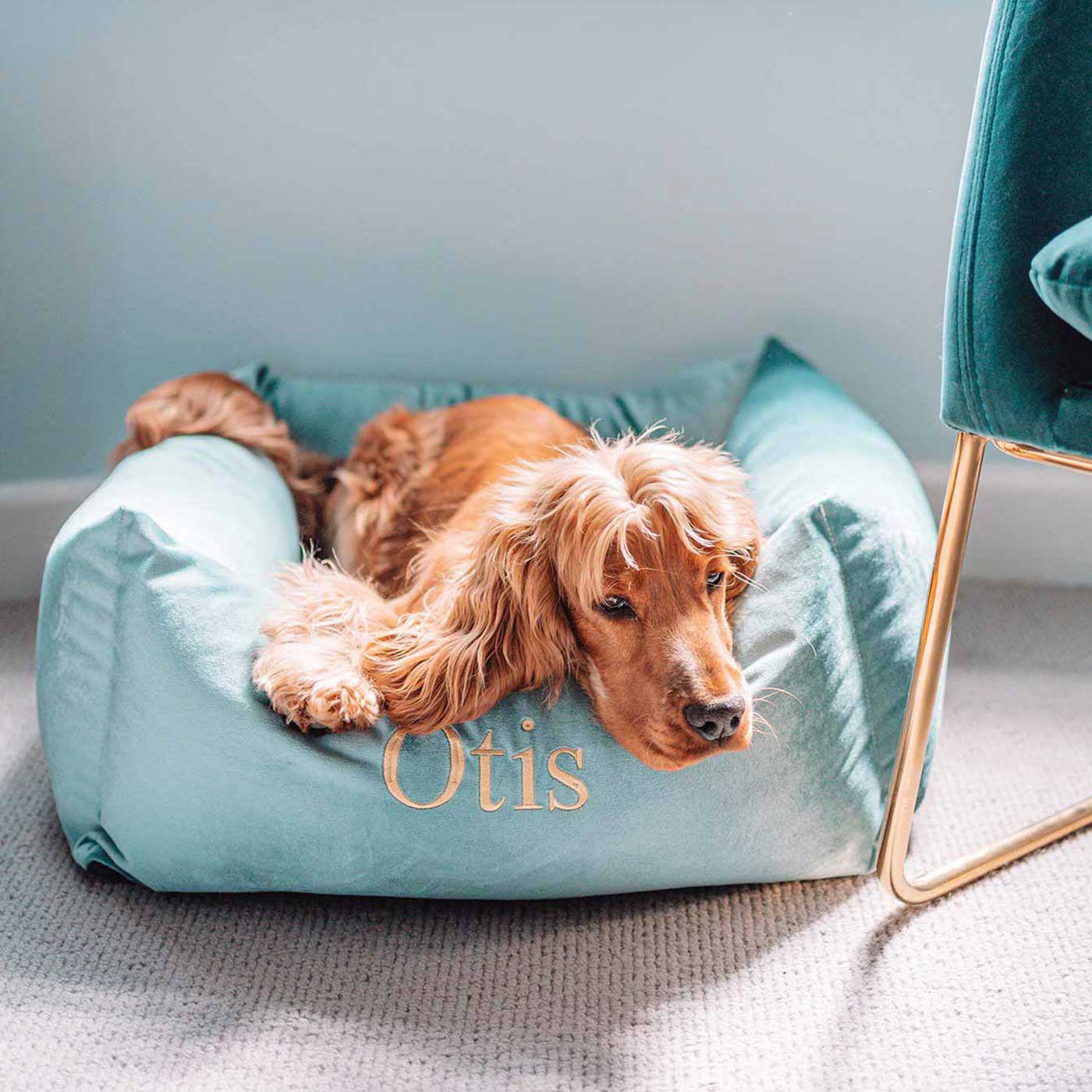 [colour:duck egg velvet] Luxury Handmade Box Bed For Dogs in Velvet, in Duck Egg Velvet. Perfect For Your Pets Nap Time! Available To Personalise at Lords & Labradors