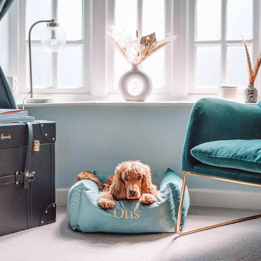 [colour:duck egg velvet] Luxury Handmade Box Bed For Dogs in Velvet, in Duck Egg Velvet. Perfect For Your Pets Nap Time! Available To Personalise at Lords & Labradors