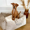 Box Bed For Dogs in Velvet by Lords & Labradors