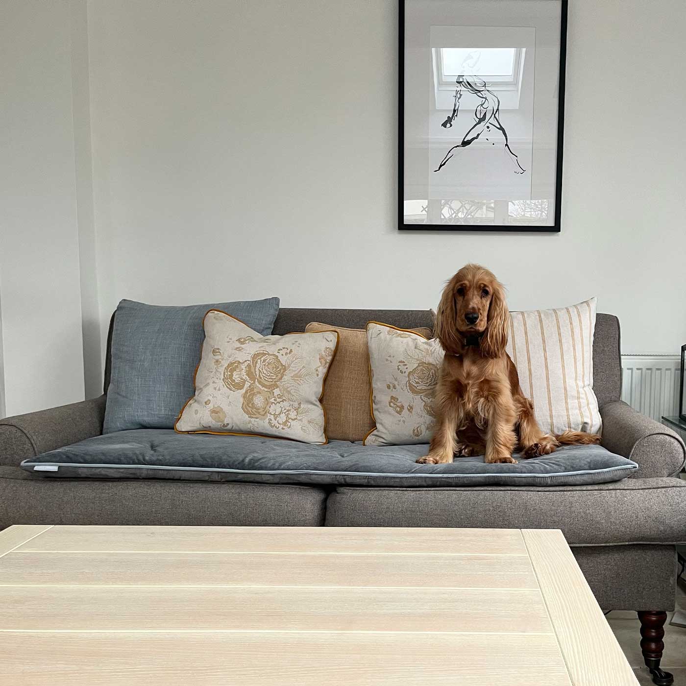 [colour:elephant velvet] Discover Our Luxury Velvet sofa Topper, The Perfect Pet sofa Accessory In Stunning Elephant Velvet! Available Now at Lords & Labradors
