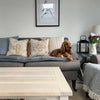 Sofa Topper in Velvet by Lords & Labradors