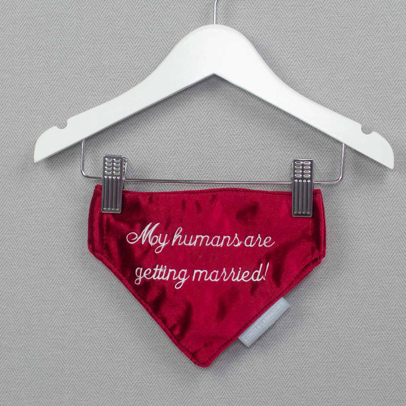 Discover The Perfect Bandana For Dogs, 'My Humans Are Getting Married' Valentine Dog Bandana In Luxury Cranberry Velvet, Available Now at Lords & Labradors