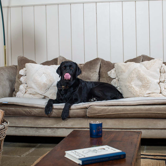 [colour:natural herringbone] Discover Our Luxury Herringbone Sofa Topper, The Perfect Pet sofa Accessory In Stunning Natural Herringbone Tweed! Available Now at Lords & Labradors