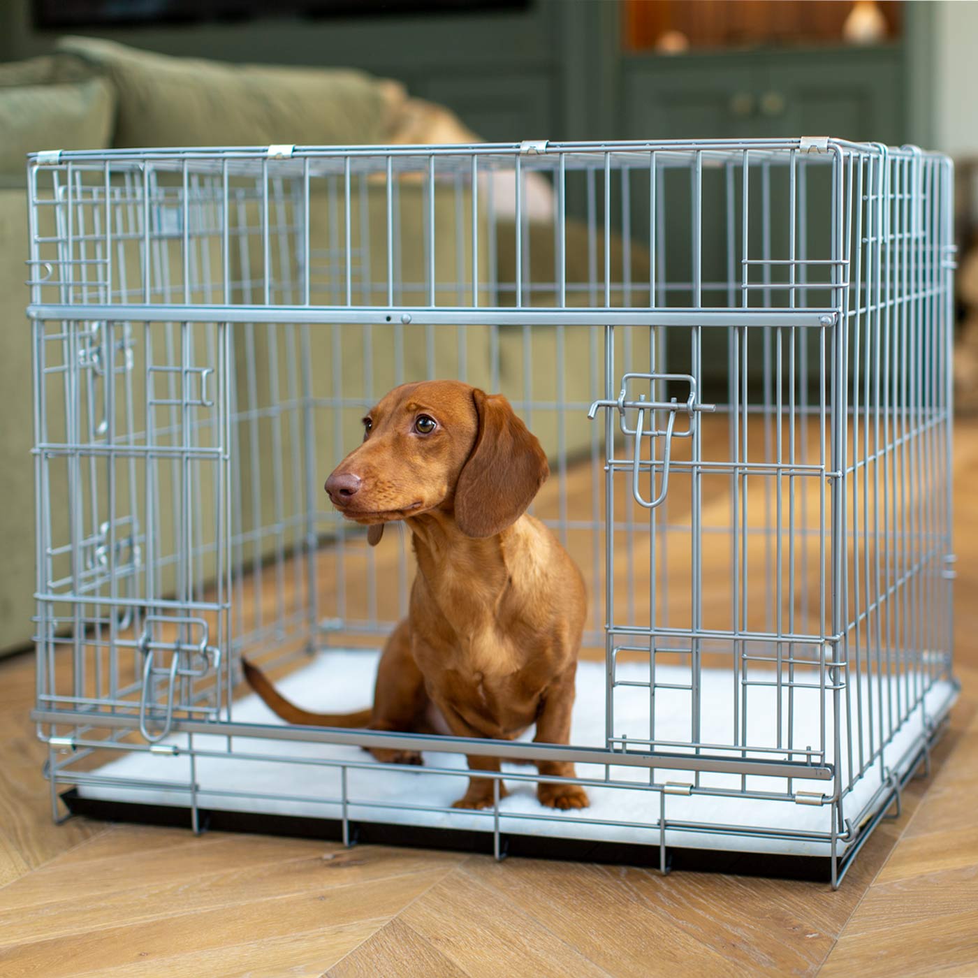 Crate Size Dog Crate For Dachshund Dachshund Crate Size Hot Sale