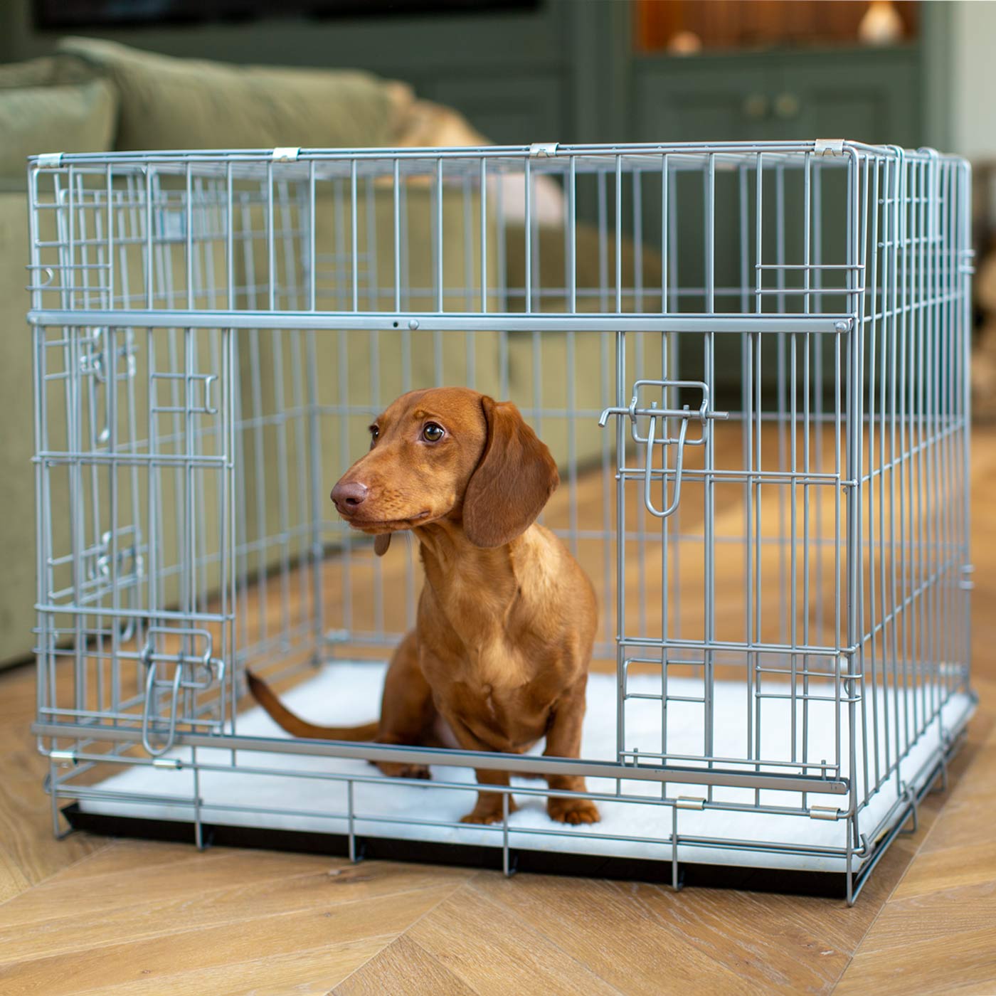 Discover the perfect deluxe heavy duty silver dog crate, featuring two doors for easy access and a removable tray for easy cleaning! The ideal choice to keep new puppies safe, made using pet safe galvanised steel! Available now in 3 sizes at Lords & Labradors