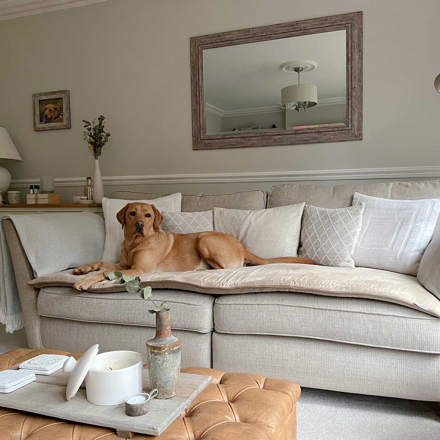 [colour:mushroom velvet] Discover Our Luxury Velvet sofa Topper, The Perfect Pet sofa Accessory In Stunning Mushroom Velvet! Available Now at Lords & Labradors