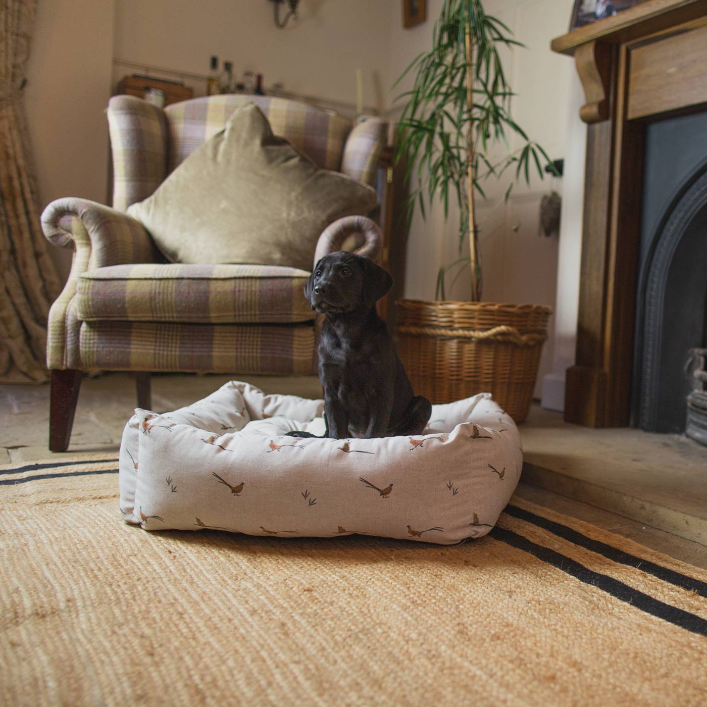 [colour:woodland pheasant] Luxury Handmade Box Bed For Dogs in Woodland, in Woodland Pheasant. Perfect For Your Pets Nap Time! Available To Personalise at Lords & Labradors
