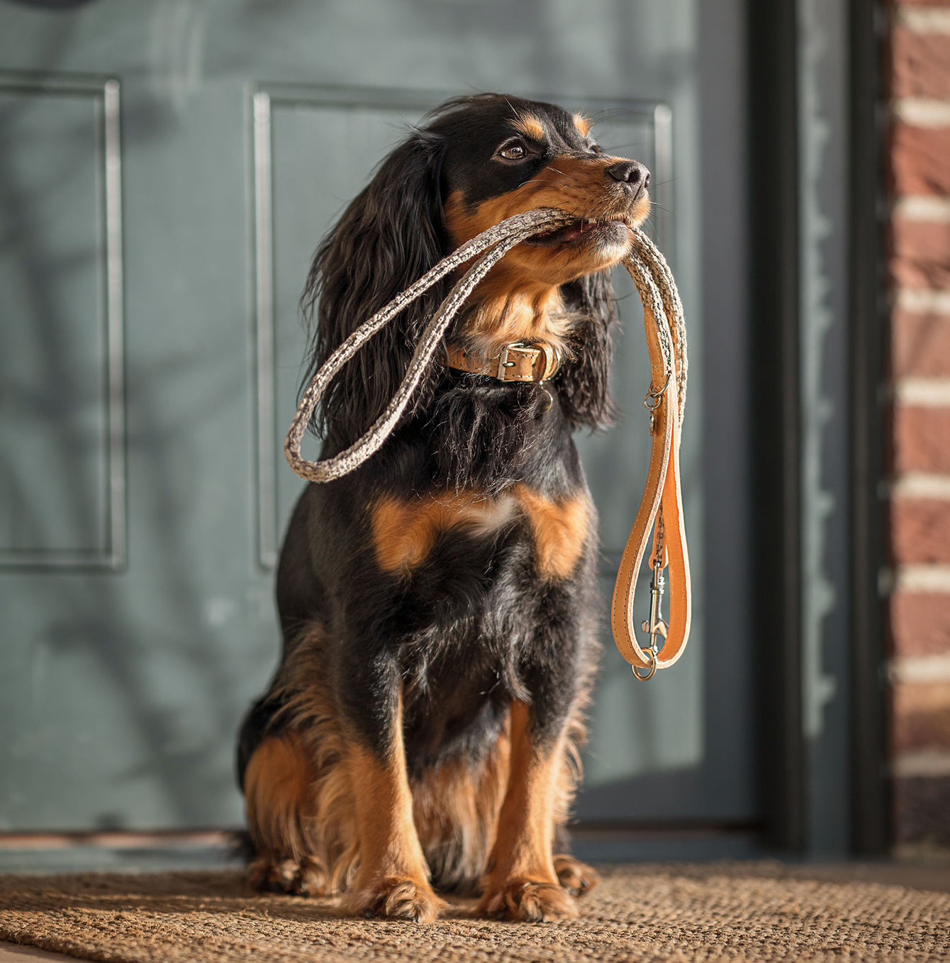 Discover dog walking luxury with our handcrafted Italian Herdwick dog lead in beautiful pebble with woven light grey fabric! The perfect lead for dogs available now at Lords & Labradors 