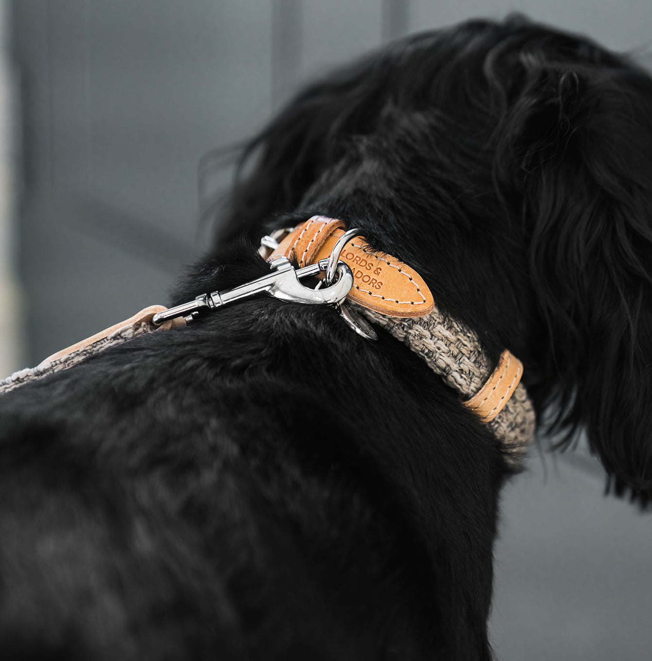 Discover dog walking luxury with our handcrafted Italian Herdwick dog lead in beautiful pebble with woven light grey fabric! The perfect lead for dogs available now at Lords & Labradors 