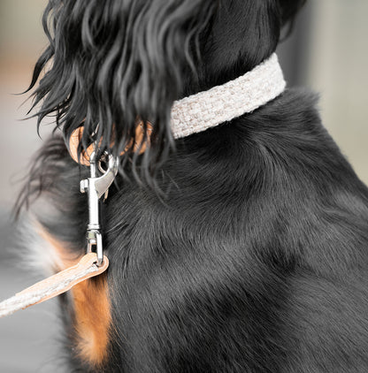Discover dog walking luxury with our handcrafted Italian dog collar in beautiful sandstone with woven sand fabric! The perfect collar for dogs available now at Lords & Labradors    
