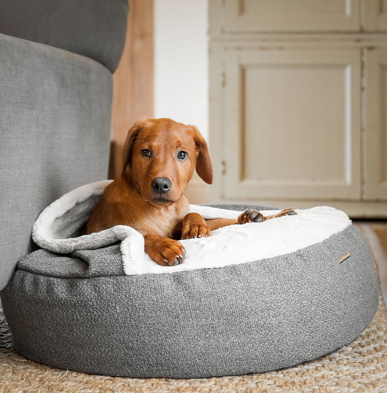 Discover This Luxurious Dog Den, Made Using Beautiful Herdwick Fabric To Craft The Perfect Den For Dogs! In Stunning Graphite, Available Now at Lords & Labradors 