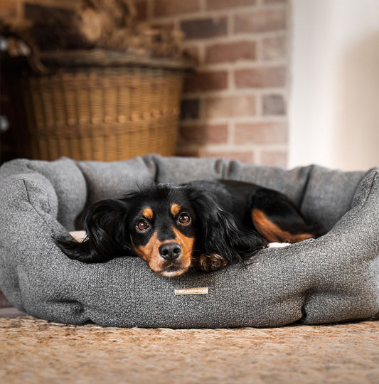 Lords & Labradors Essentials Herdwick Oval Bed Graphite