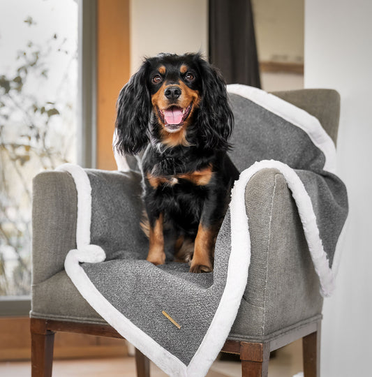 Present your furry friend with our luxuriously thick, plush blanket for your pet. Featuring a reverse side with hardwearing woven fabric handmade in Italy for the perfect high-quality pet blanket! Essentials Herdwick Blanket In Graphite, Available now at Lords & Labradors    