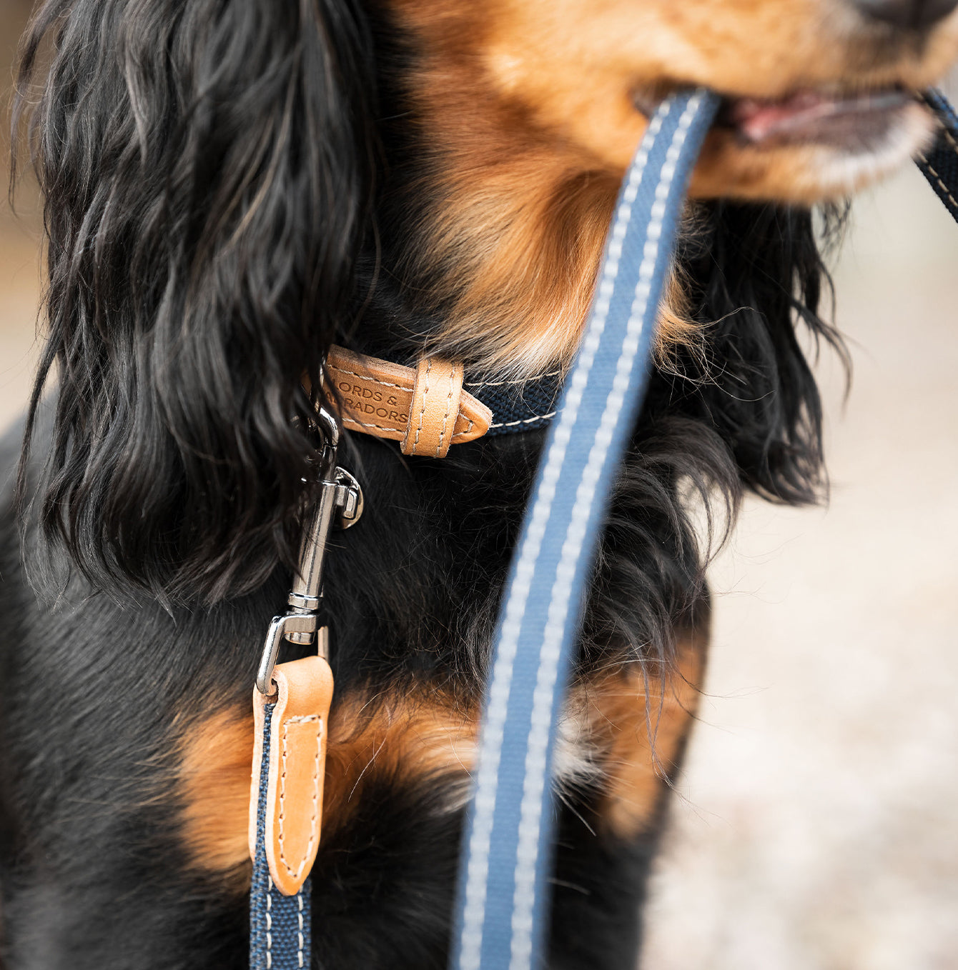 Lords & Labradors Essentials Twill Dog Lead Denim