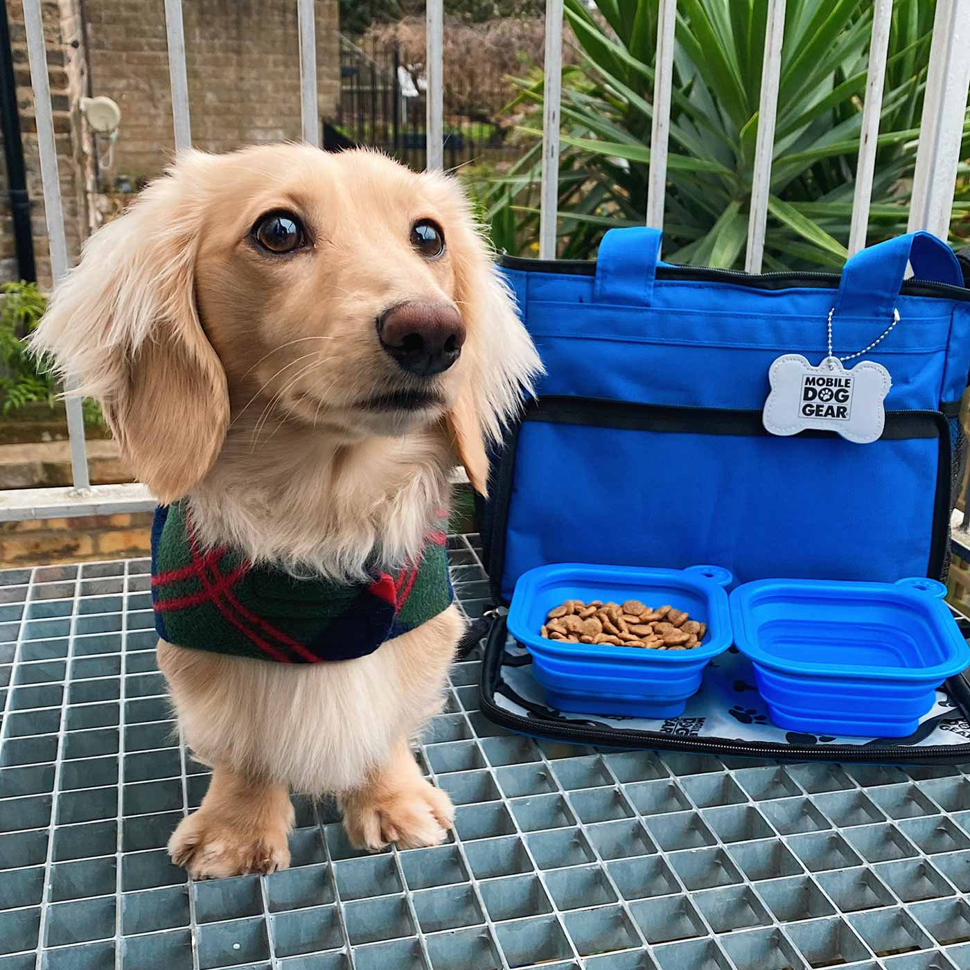 Discover, Mobile Dog Gear Week Away Bag, in Blue. The Perfect Away Bag for any Pet Parent, Featuring dividers to stack food and built in waste bag dispenser. Also Included feeding set, collapsible silicone bowls and placemat! The Perfect Gift For travel, meets airline requirements. Available Now at Lords & Labradors