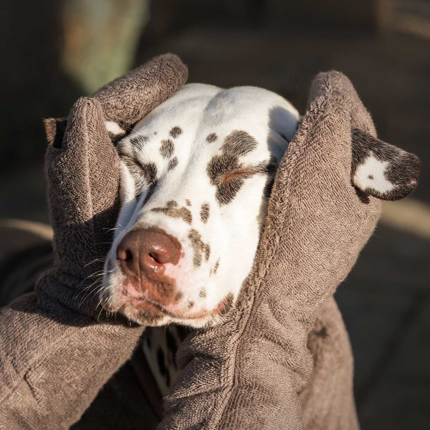 Introducing the ultimate bamboo dog drying mitts in beautiful Mole (Brown), made from luxurious bamboo to aid sensitive skin featuring universal size to fit all with super absorbent material for easy pet drying! The perfect dog drying gloves, available now at Lords & Labradors, In four colours!