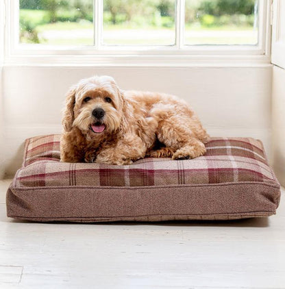 Cockapoo sitting on a Lords & Labradors Balmoral Twist Dog Cushion in Mulberry 