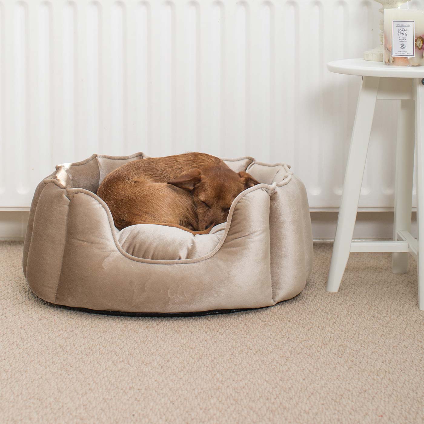 Discover Our Luxurious High Wall Velvet Bed For Dogs, Featuring inner pillow with plush teddy fleece on one side To Craft The Perfect Dogs Bed In Stunning Mushroom Velvet! Available To Personalise Now at Lords & Labradors 