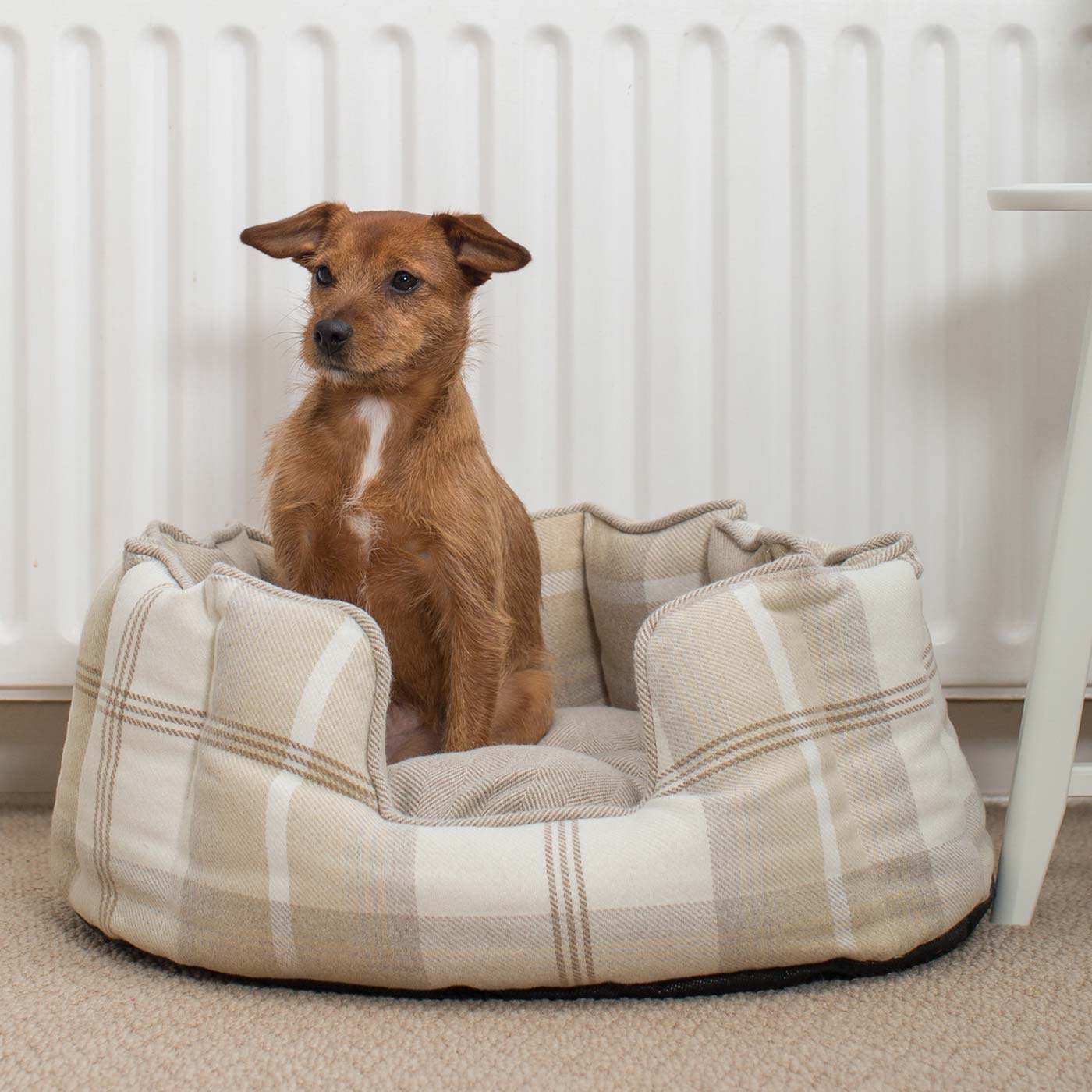 Discover Our Luxurious High Wall Bed For Dogs, Featuring inner pillow with plush teddy fleece on one side To Craft The Perfect Dogs Bed In Stunning Neutral Tweed! Available To Personalise Now at Lords & Labradors 
