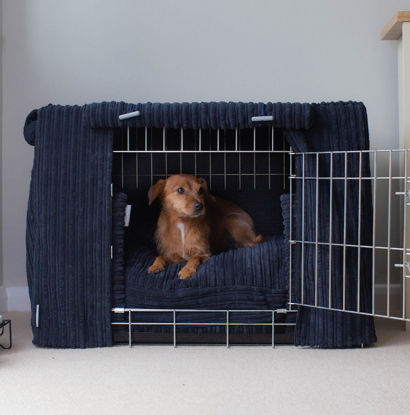 Greyhound crates for best sale sale