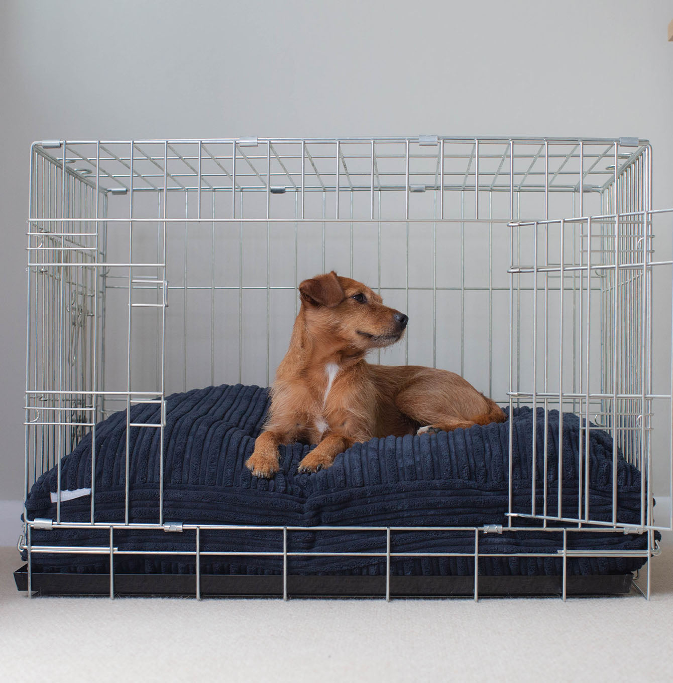 Luxury Dog Crate Cushion, Essentials Plush Cushion in Navy! The Perfect Dog Crate Accessory, Available To Personalise Now at Lords & Labradors