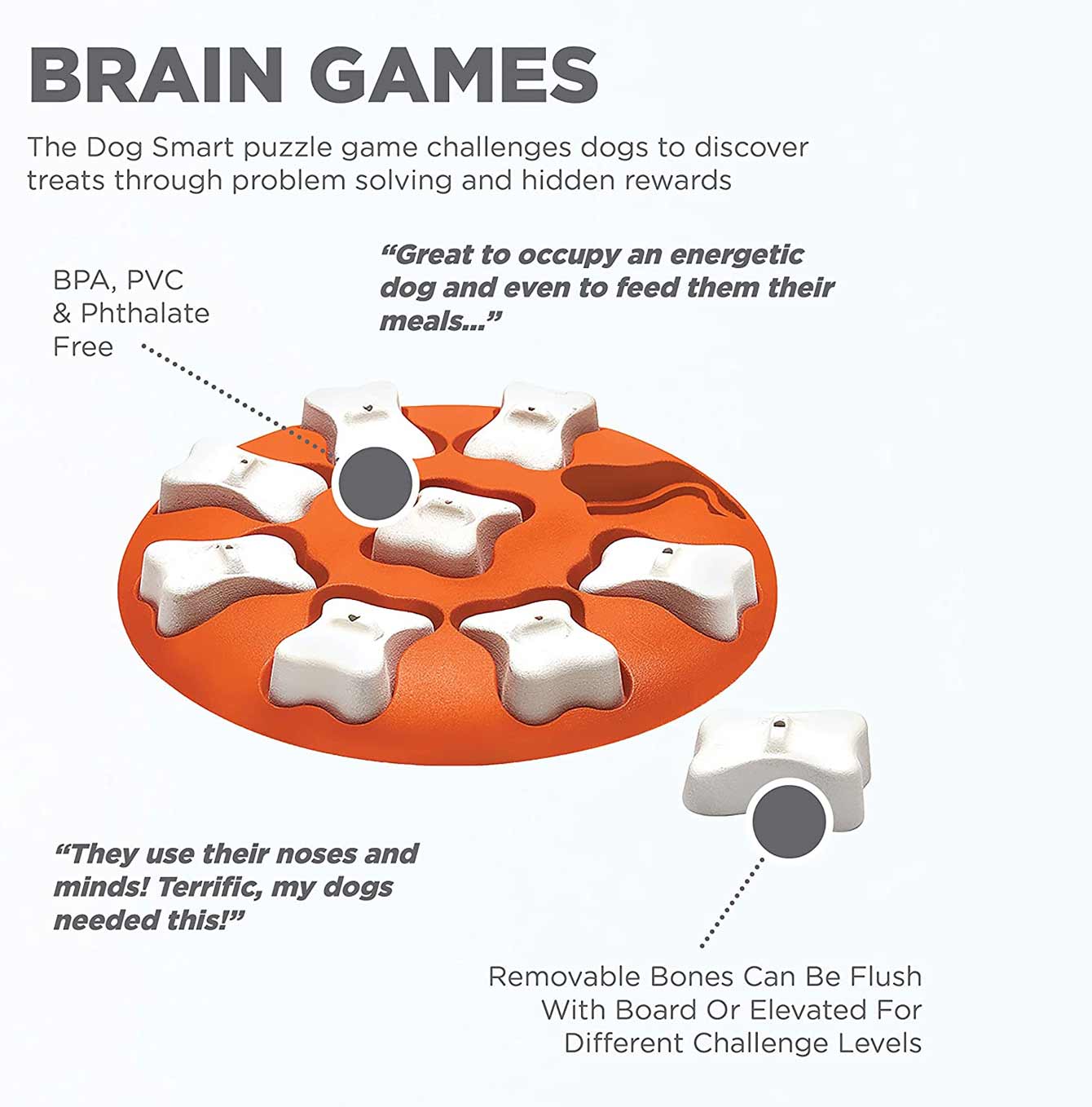 Nina Ottosson Dog Smart Puzzle Brain Games 