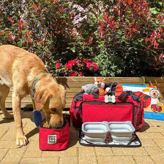 Discover, Mobile Dog Gear Ultimate Week Away Duffle, in Red. The Perfect Away Bag for any Pet Parent, Featuring dividers to stack food and built in waste bag dispenser. Also Included feeding set, collapsible silicone bowls and placemat! The Perfect Gift For travel, meets airline requirements. Available Now at Lords & Labradors
