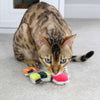 P.L.A.Y Sushi Cat Toys (3 Pack)