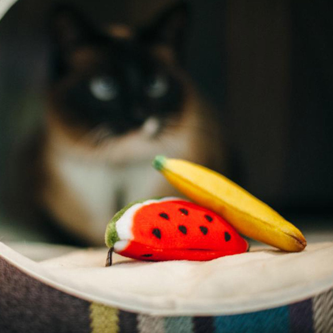 P.L.A.Y Tropical Fruits Cat Toys