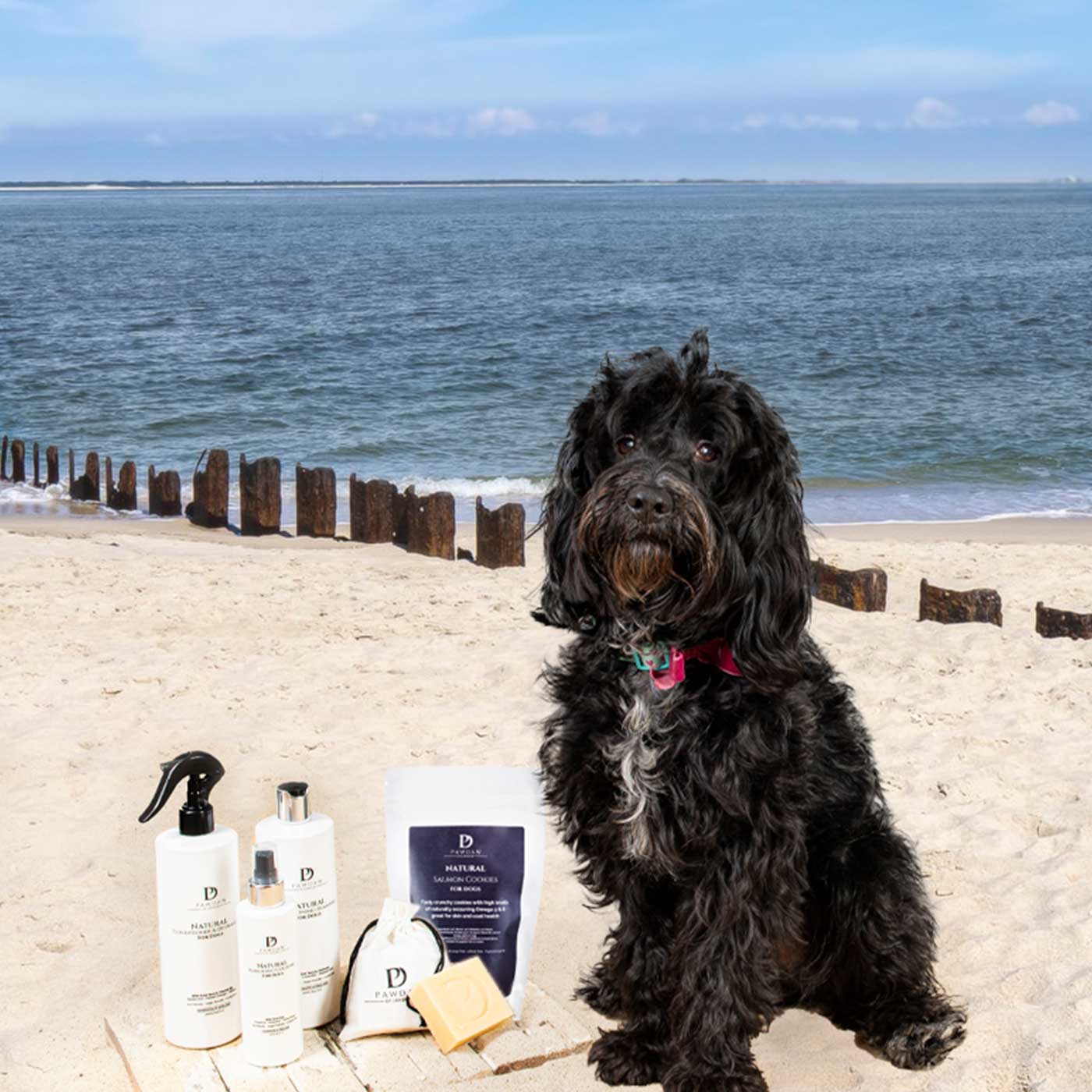 Pawdaw of London Luxury Pamper Gift Box Beach With Dog