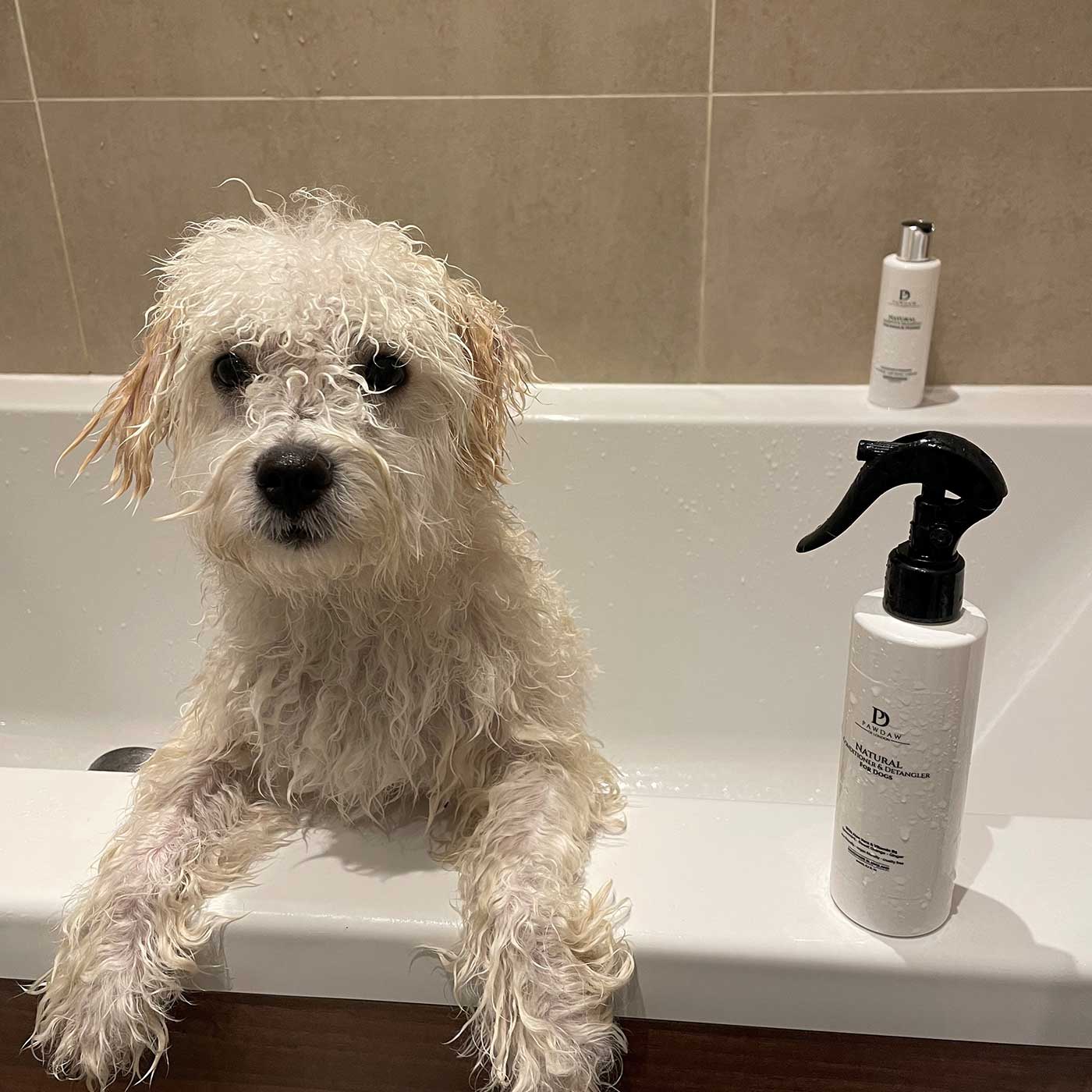 Pawdaw of London Natural Conditioner & Detangler for Dogs