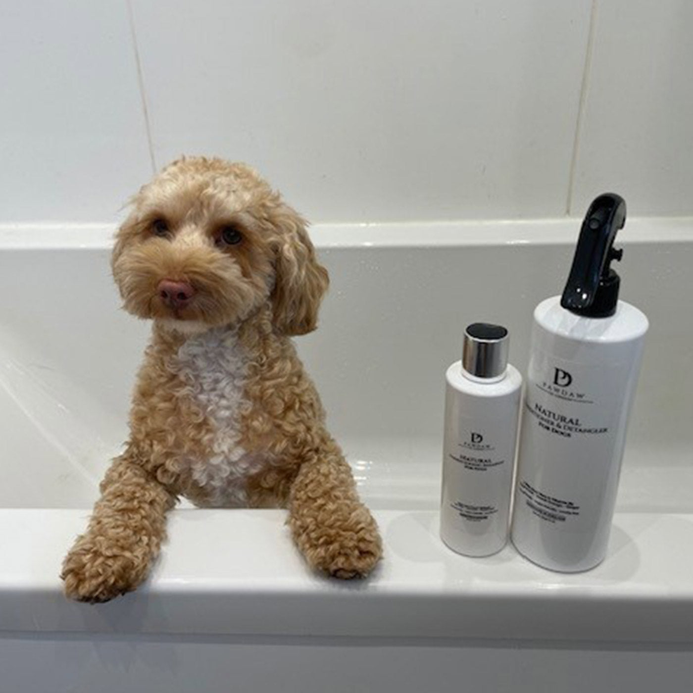 Pawdaw of London Natural Conditioner & Detangler for Dogs