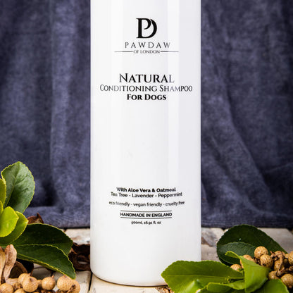 Pawdaw of London Natural Conditioning Shampoo for Dogs