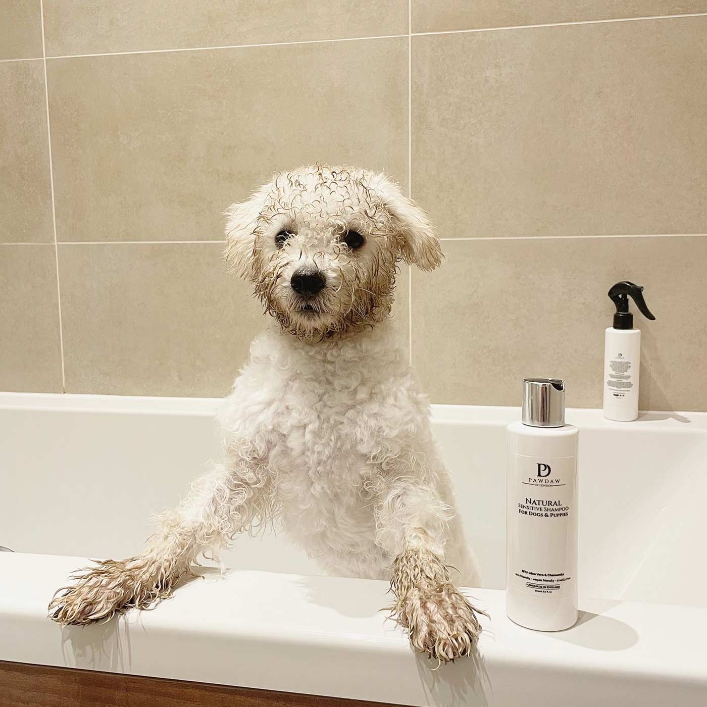 Pawdaw of London Natural Sensitive Shampoo for Dogs & Puppies Bath With Dog