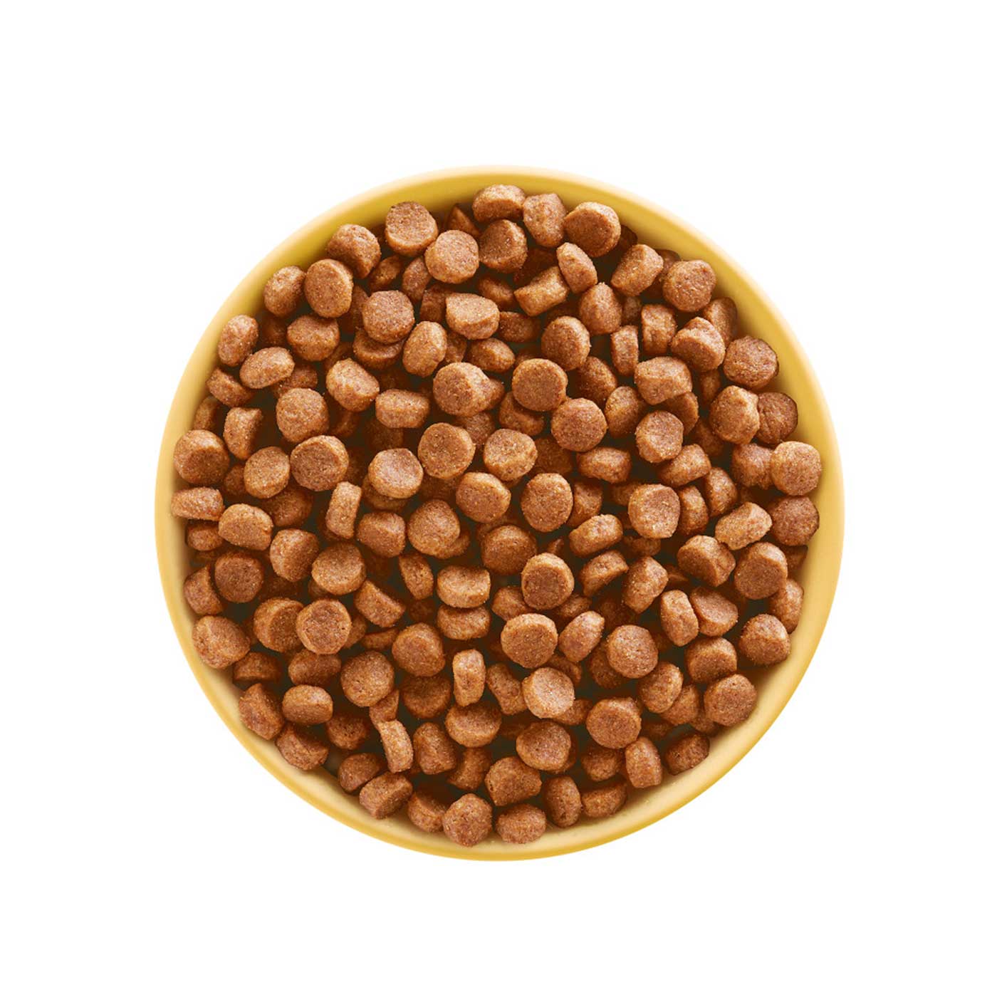 Pedigree puppy starter best sale food