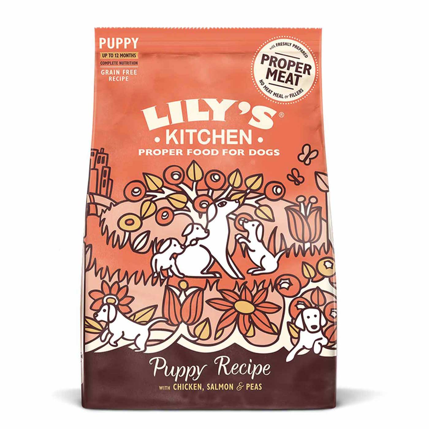 Lily's Kitchen Puppy Recipe with Chicken & Salmon 