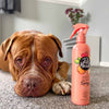 Pet Head Quick Fix Dry Clean Peach Spray 300ml