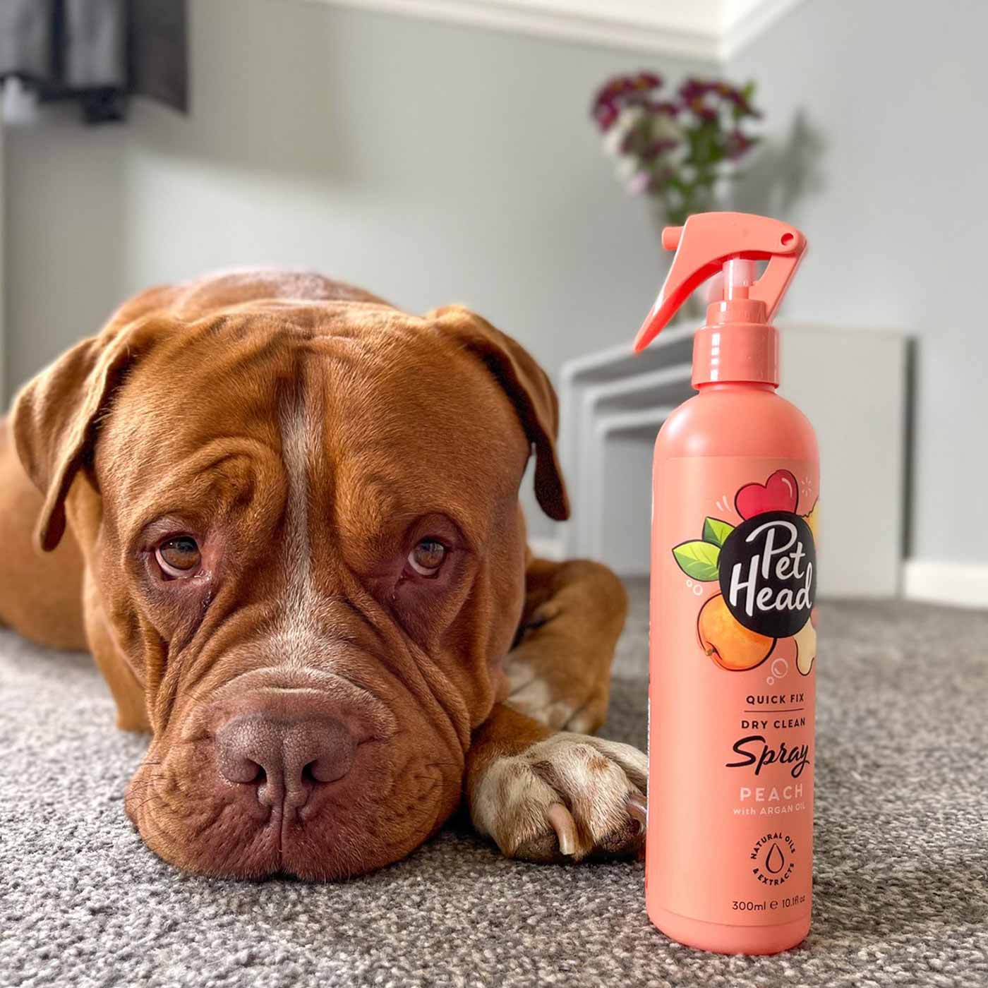 Pet Head Quick Fix Dry Clean Peach Spray