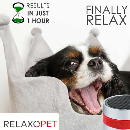 RelaxoPet PRO For Dogs