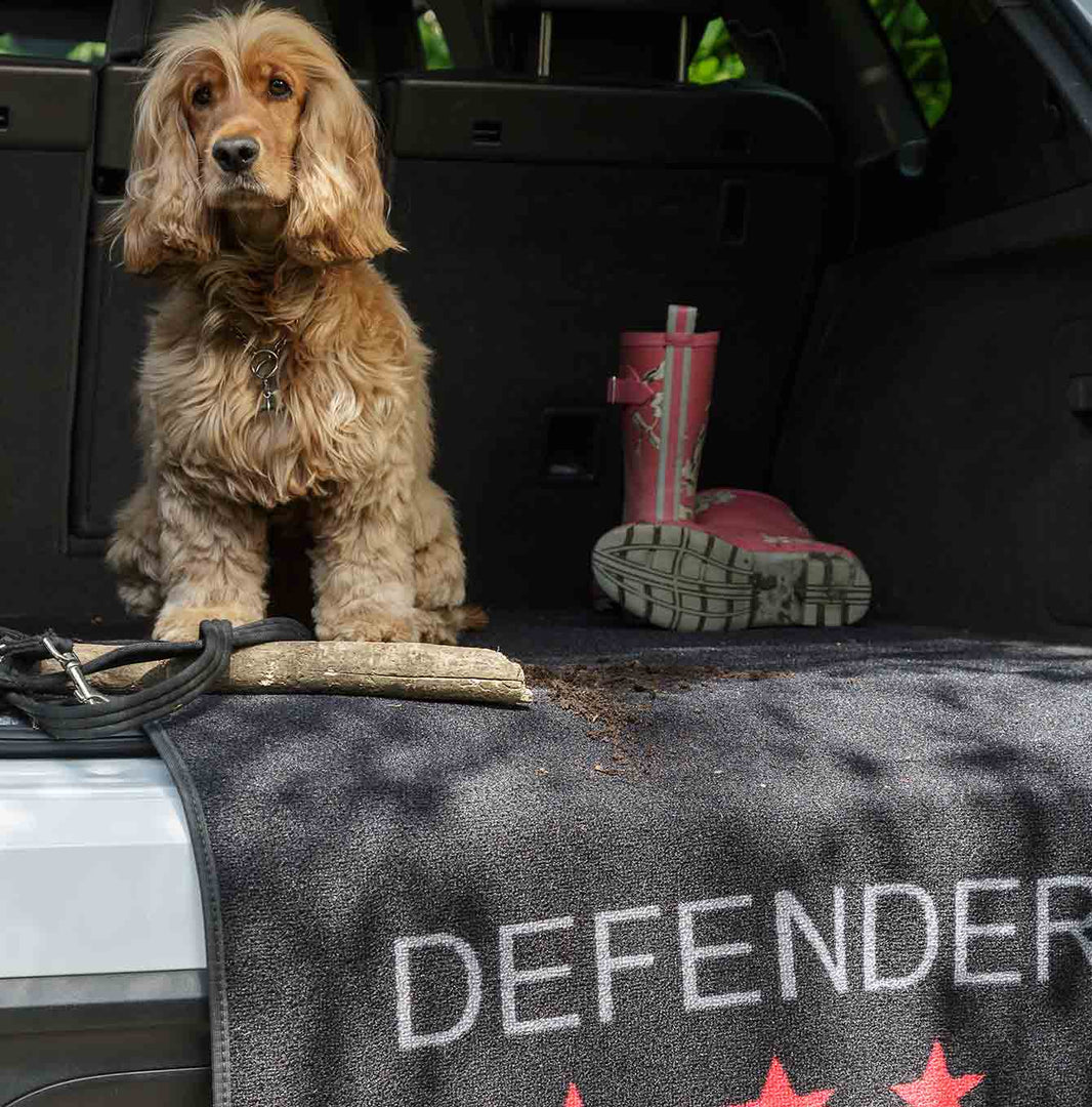 Comfy Cover Pet Rebellion Lords and Labradors Lords & Labradors