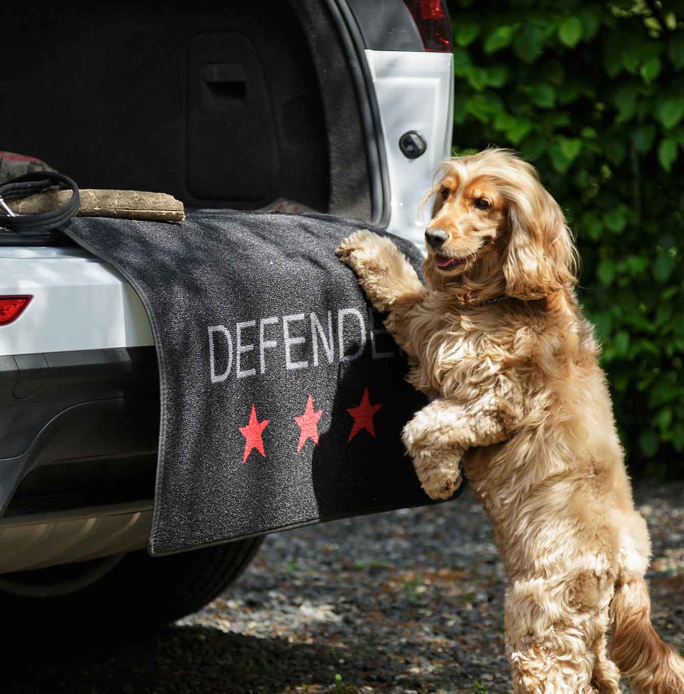 Pet Rebellion car defender