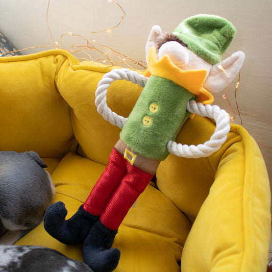 P.L.A.Y merry woofmas santas little elf-er in a dog bed next to French bulldog puppies