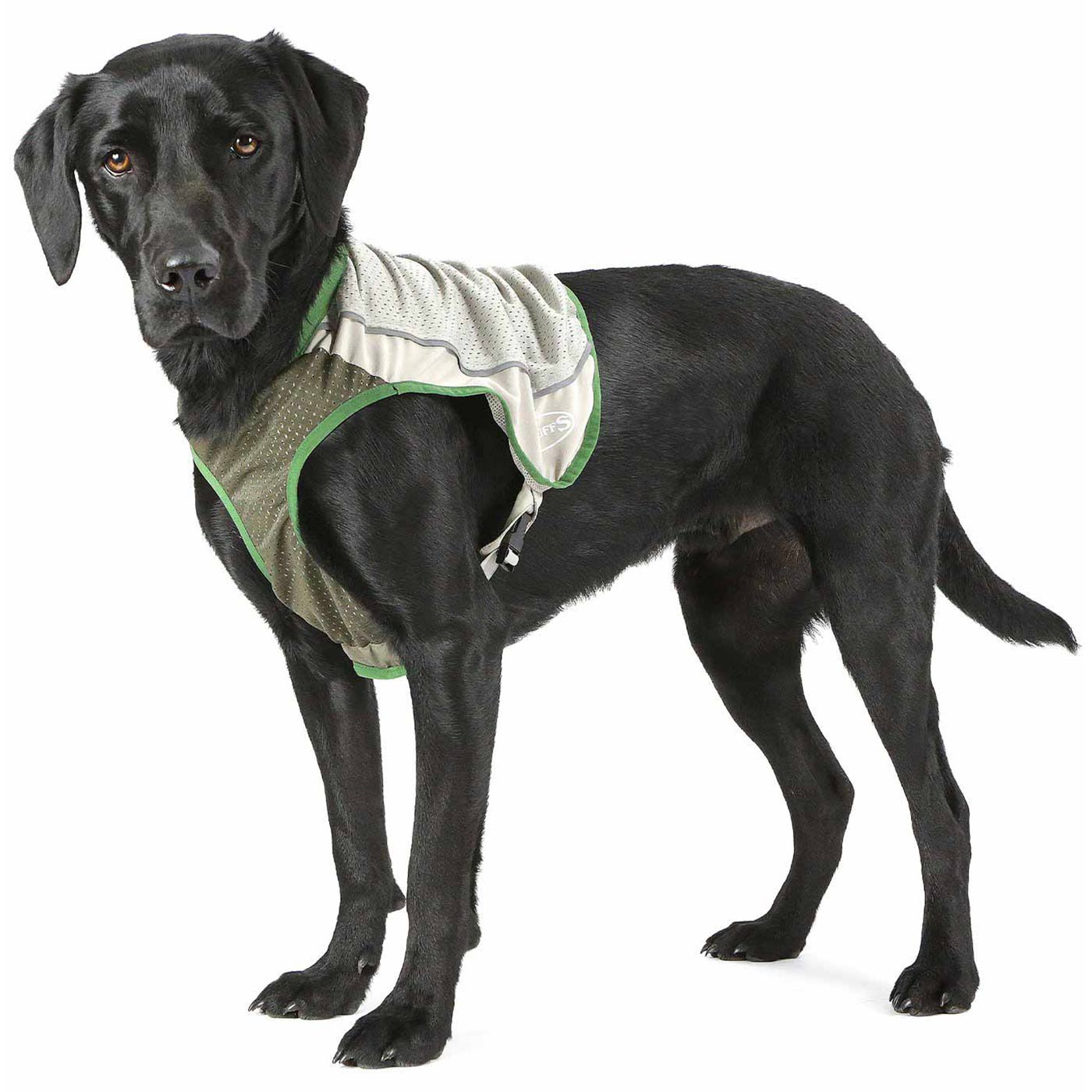 Scruffs Insect Shield Breathable Dog Vest | Lords & Labradors